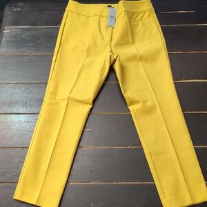 Ann Taylor Yellow Women's Trousers